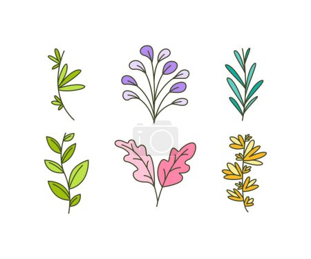 Illustration for Leaves icons set vector illustration - Royalty Free Image