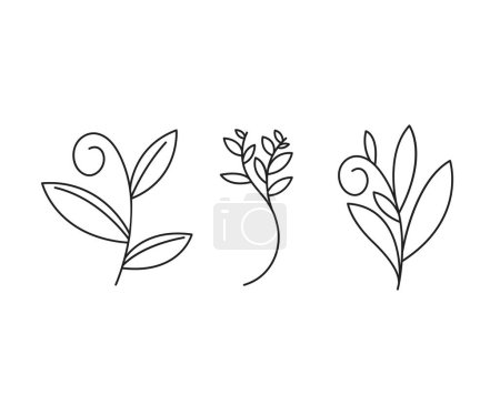 Téléchargez les illustrations : Floral elements, branches and leaves line art vector illustration - en licence libre de droit