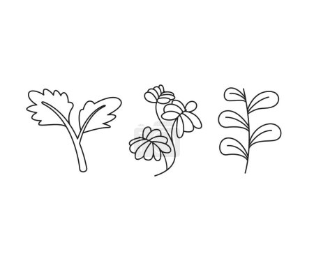 Illustration for Floral elements, branches and leaves line art vector illustration - Royalty Free Image