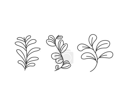 Téléchargez les illustrations : Floral elements, branches and leaves line art vector illustration - en licence libre de droit