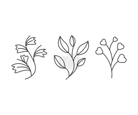 Photo for Floral elements, branches and leaves line art vector illustration - Royalty Free Image