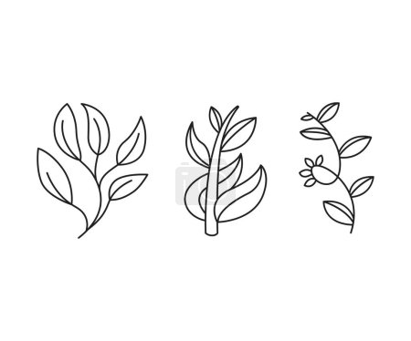 Illustration for Floral elements, branches and leaves line art vector illustration - Royalty Free Image