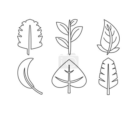 Plant and leaf line illustration set