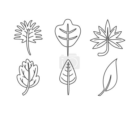 Illustration for Plant and leaf line illustration set - Royalty Free Image