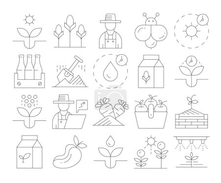 Ilustración de Agricultura y Agricultura Conjunto de iconos - Imagen libre de derechos