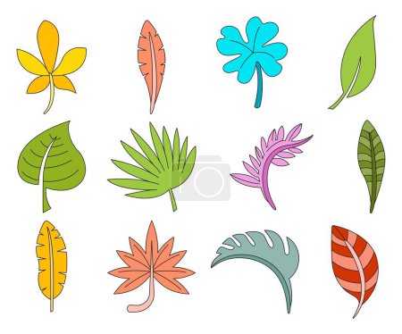 Ilustración de Vector de hoja tropical ilustración conjunto - Imagen libre de derechos