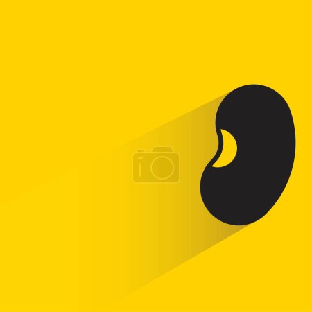Illustration for Bean with shadow on yellow background - Royalty Free Image