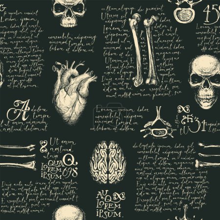 Illustration for Anatomy seamless pattern with hand-drawn human skulls, bones, joints and organs on a backdrop of handwritten text lorem ipsum. Vintage repeating vector background with sketches on medical theme - Royalty Free Image