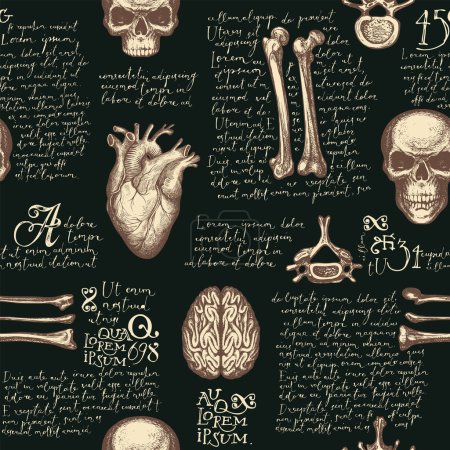 Anatomy seamless pattern with hand-drawn human skulls, bones, joints and organs on a backdrop of handwritten text lorem ipsum. Vintage repeating vector background with sketches on medical theme