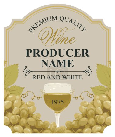 Illustration for Wine labels with realistic bunches of delicious green grapes and calligraphic inscriptions in figured frames on various backgrounds. Vector illustration. Collection of quality wines - Royalty Free Image
