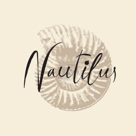 Illustration for Vector logo sign with drawing of ancient petrified ammonite shells or nautilus pampilius. exhibits of the paleontological museum from extinct marine mollusks and animals of the sea and ocean fauna - Royalty Free Image