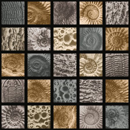 Ilustración de Vector abstact seamless pattern background with sea stone texture with imprints of ancient ammonite shells. Suitable for wallpaper design, wrapping paper, fabric, ceramic tiles - Imagen libre de derechos