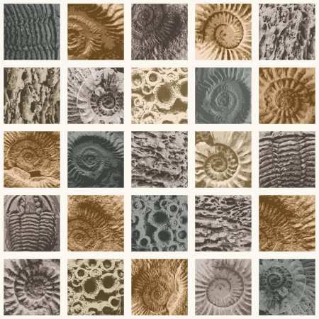 Ilustración de Vector abstact seamless pattern background with sea stone texture with imprints of ancient ammonite shells. Suitable for wallpaper design, wrapping paper, fabric, ceramic tiles - Imagen libre de derechos