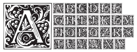 Illustration for Vintage Alphabet, vector set of hand-drawn medieval, ornate initial alphabet letters. Luxury design of Beautiful royal font for card, invitation, monogram, label, logo - Royalty Free Image