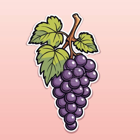 Illustration for Juicy and ripe bunch of grapes. Color vector illustration in cartoon style on soft pink background - Royalty Free Image