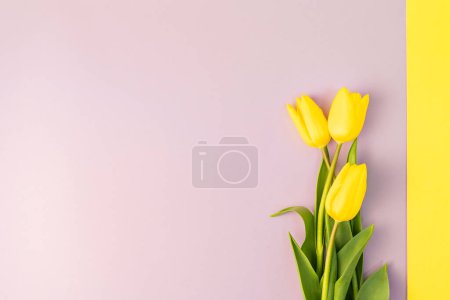 Photo for Beautiful spring bouquet with yellow flowers - Royalty Free Image