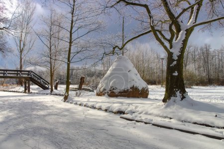 Téléchargez les photos : Spreeforest en hiver froid, Brandebourg - en image libre de droit