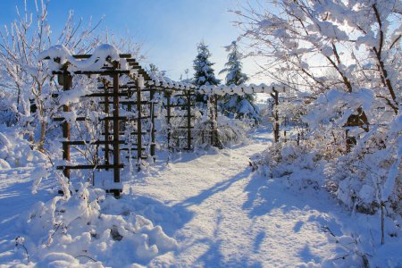 jardin en hiver avec beaucoup de neige par une journée froide le matin