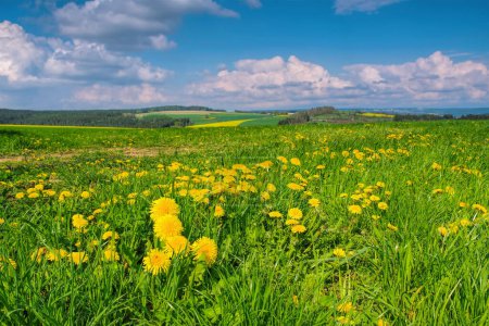 Landschaft mit Feldern im Vogtland im Frühling