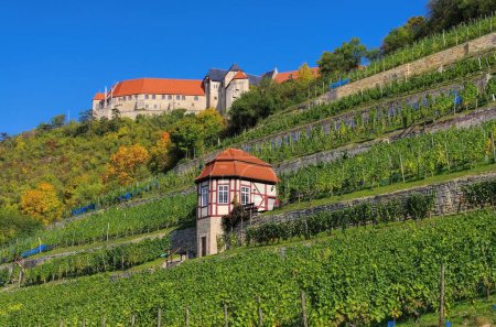 Téléchargez les photos : Château de Fribourg en Allemagne - en image libre de droit