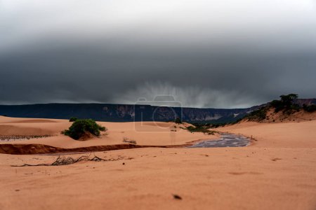 Photo for Dark storm clouds loom over the stunning sand dunes of Jalapao, Tocantins, providing a striking contrast between light and dark. Perfect for text overlays - Royalty Free Image