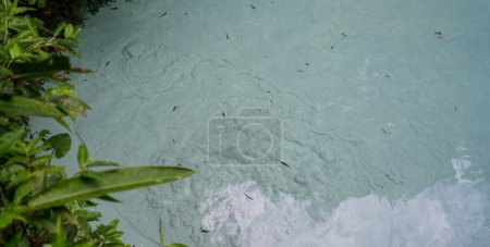 Photo for Explore the raw beauty of nature with this breathtaking aerial view of a fervedouro in Jalapao, where water bubbles up from the sandy bottom amidst the lush green forest. Perfect for nature lovers and - Royalty Free Image