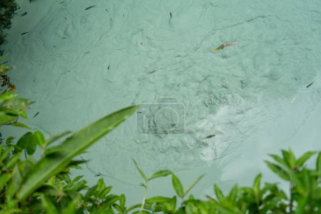 Téléchargez les photos : Admirez l'effervescence et le sable tourbillonnant autour des eaux cristallines de Fervedouro au milieu de la jungle. - en image libre de droit