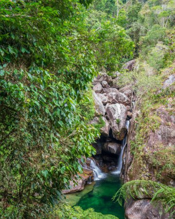 Experience the freshness of nature with the flowing water and lush green forest of Caparaos Pozo de las Antas.