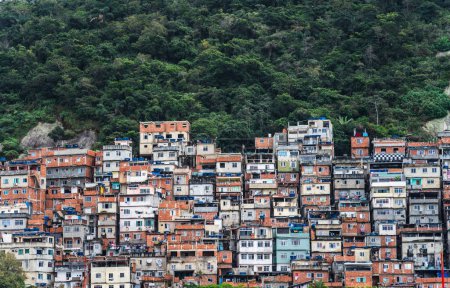 Favelas spread up a mountain, the jungle giving way to a patchwork of colorful informal homes.