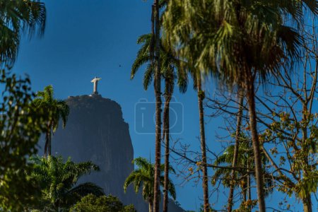 Christ the Redeemer statue seen from afar with palm trees under a blue sky.