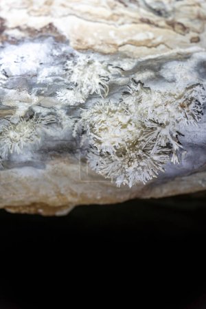Close-up of distinctive crystals in a shadowy limestone cave.