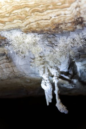 Pristine white stalactites against layered rock in a cave.