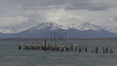Deserted wooden pier in Puerto Natales with birds and a backdrop of snowy mountains and glaciers.
