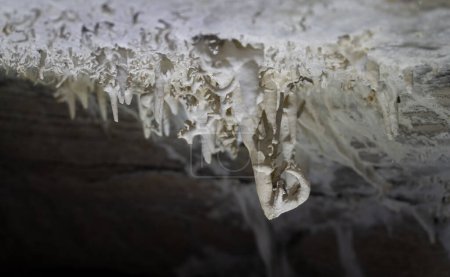 Detaillierter Blick auf fragile Höhlenformationen in einer schwach beleuchteten Höhle.