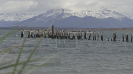 Heiteres Slow-mo-Video von einem alten Dock, schneebedeckten patagonischen Bergen und Vögeln beim Gleiten.