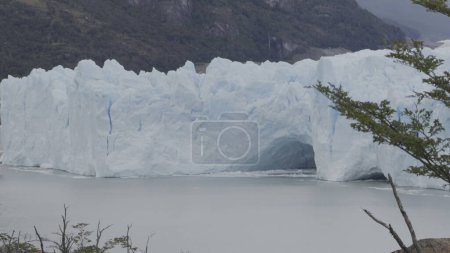 Heiteres Video, das einen Baum mit Perito Moreno Gletscher und einer Eistunnel-Kulisse zeigt.