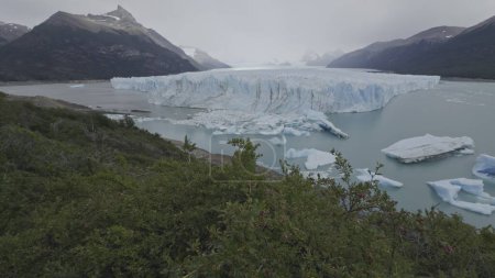 Foto de Vídeo de gran angular captura la vista completa del Glaciar Perito Moreno y sus pasarelas adyacentes, con paisajes forestales cercanos. - Imagen libre de derechos
