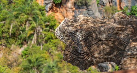 Weathered, layered rock in a tropical forest.