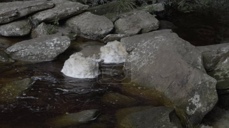 Foto de Una gran roca se sienta en medio de espuma arremolinada en un río dentro de un bosque en un día soleado de verano. - Imagen libre de derechos