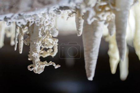 Photo en gros plan montrant des stalactites complexes dans une grotte, illustrant la beauté naturelle.