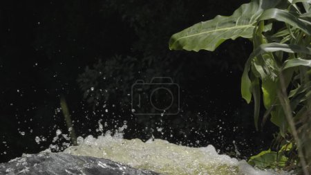 Vidéo ralentie de l'eau tombant dans l'obscurité, avec une plante observant.