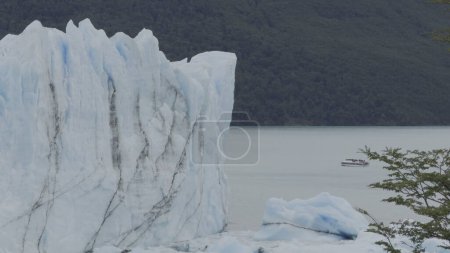 Tourist boat near Perito Moreno Glacier, with ice walls and a solitary tree in view.