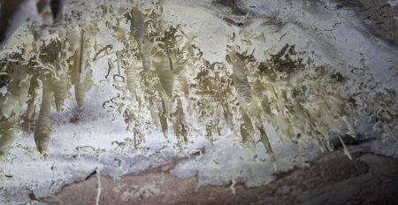 Grottes souterraines étranges avec des structures complexes créent une atmosphère impressionnante.