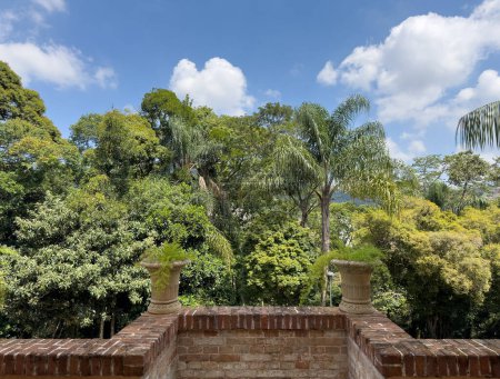 Balcon vue sur paysage verdoyant et palmiers sous le ciel bleu.