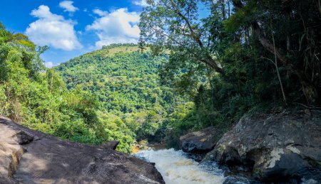 A scenic view of a turbulent river flanked by lush jungle under a clear blue sky.