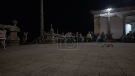A nighttime video captures a wild maned wolf cautiously approaching a food tray at Sanctuario de Caraca in Brazil, watched by tourists in dim lighting.