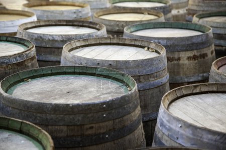 Foto de Detalle de barricas de madera de roble viejo para almacenar vino - Imagen libre de derechos