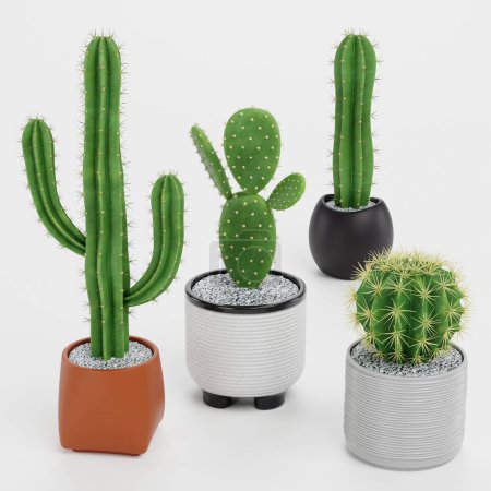 Photo for Realistic 3D Render of Cactuses Set - Royalty Free Image
