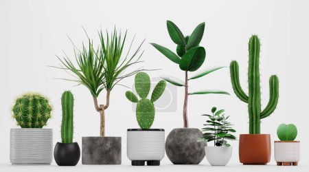 Photo for Realistic 3D Render of Home Plants - Royalty Free Image
