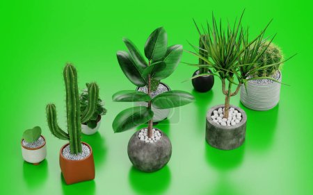 Photo for Realistic 3D Render of Home Plants - Royalty Free Image